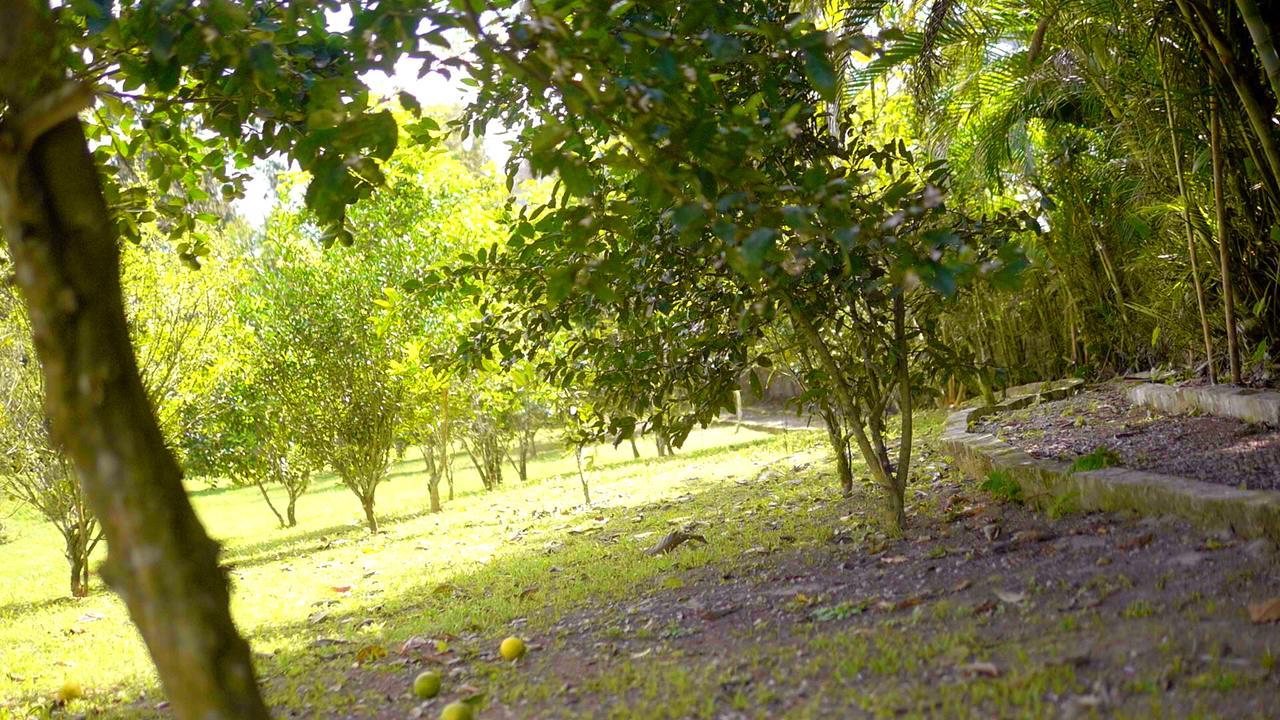Pousada Bem Viver Ubatuba Ngoại thất bức ảnh